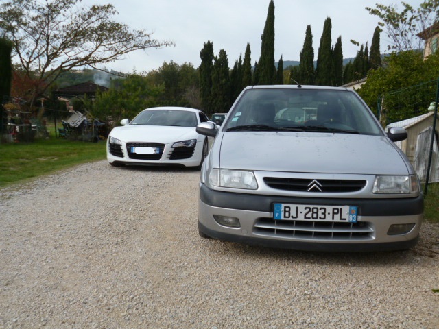 P1030220.JPG